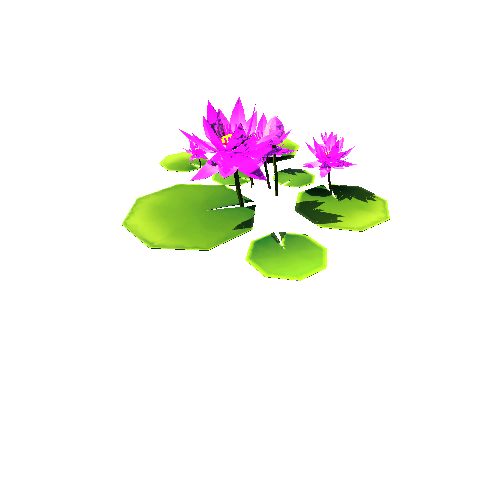 RI_Lotus plant_1